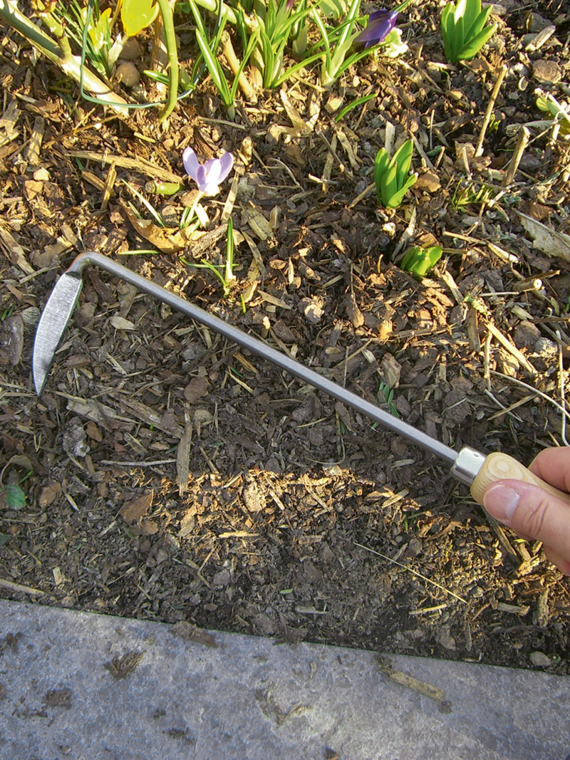 Alternatives Bild 1 zu Unkrautjter mit Eschenholzgriff