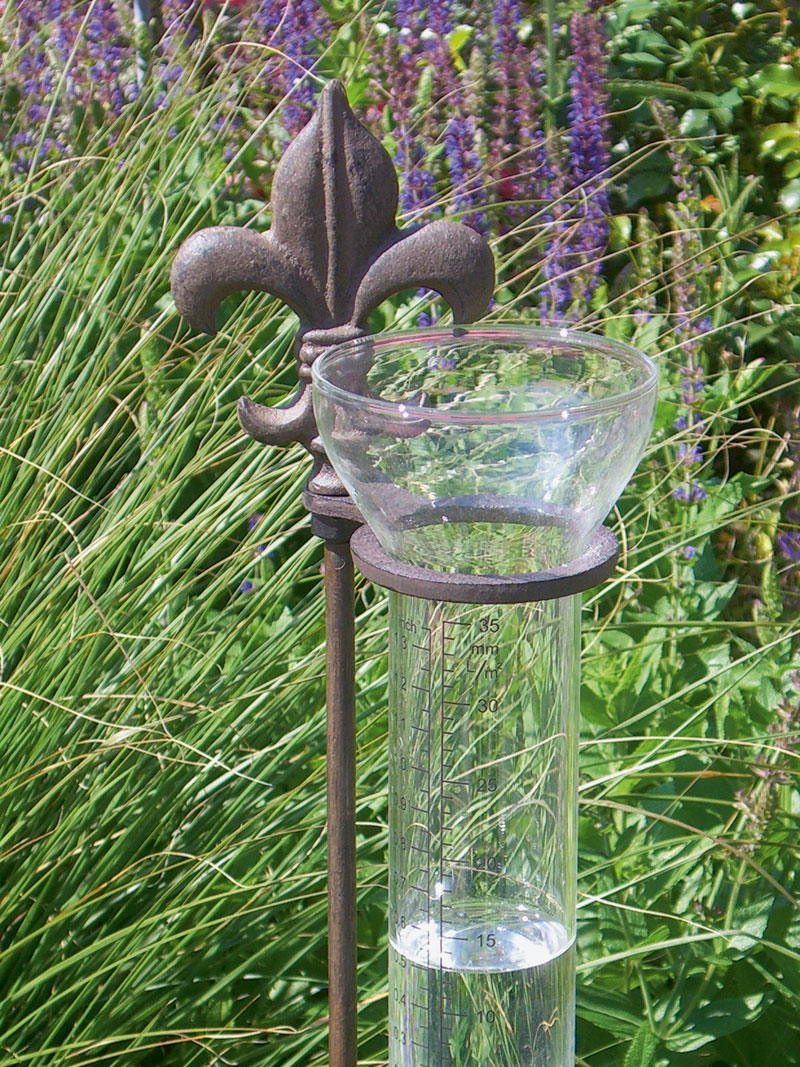 Nostalgischer Regenmesser (Hyetometer) 'Fleur de Lys' - Gartengeräte