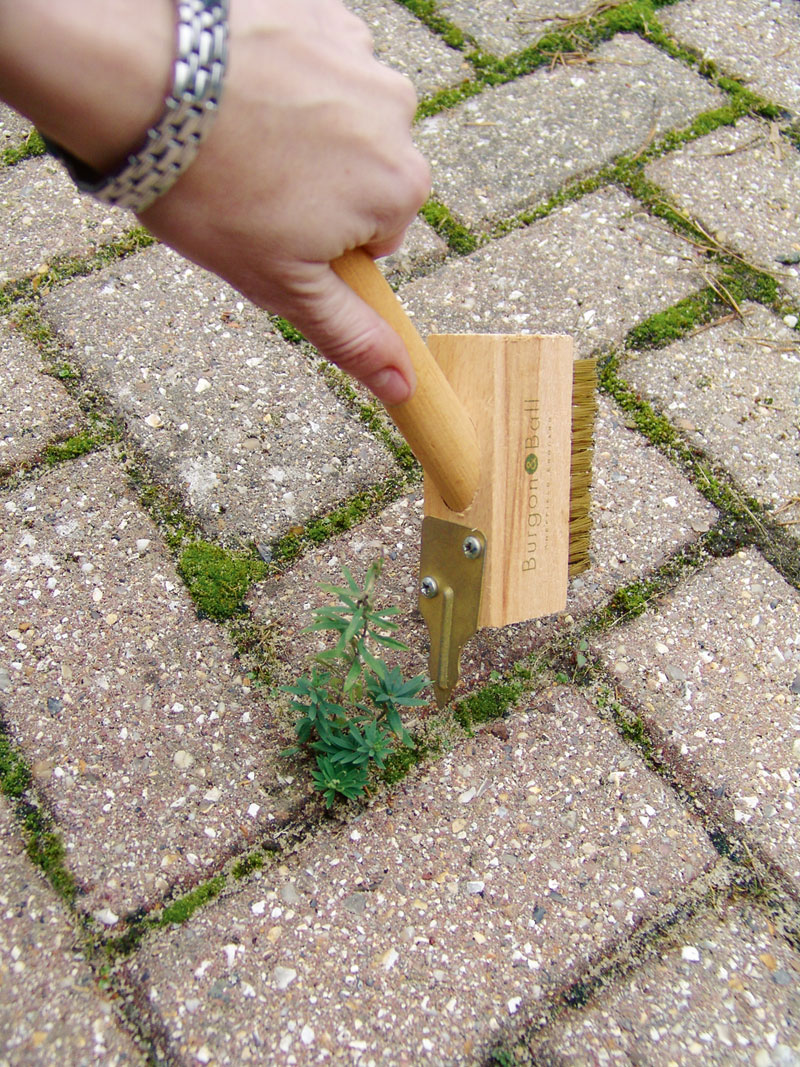 Alternatives Bild 2 zu Fugenreiniger