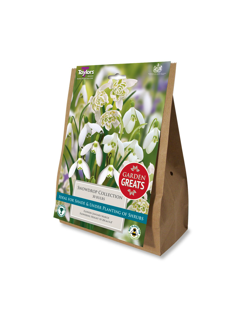 Produktbild zu Schneegl�ckchen Blumenziebel-Mischung