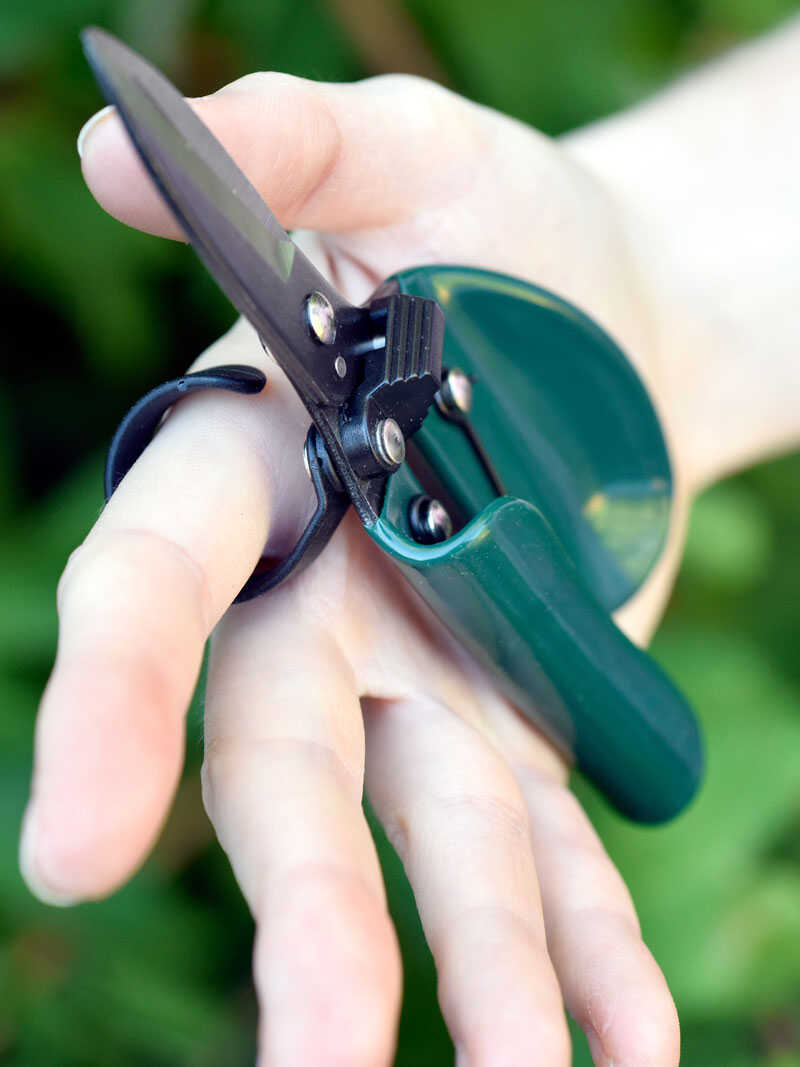 Alternatives Bild 2 zu Ergonomische Gartenschere