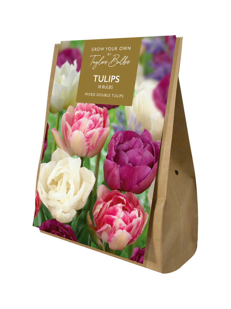 Produktbild zu 20 Blumenzwiebeln f�r gef�llte Tulpen