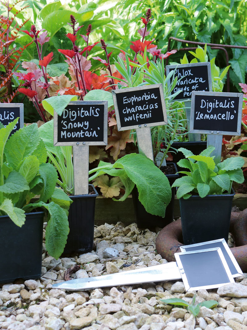 Alternatives Bild 1 zu 6 Pflanzenschilder plus Marker