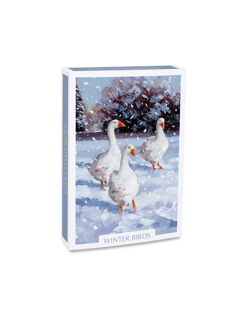 Produktbild zu Weihnachtskarten 'Winter Birds'