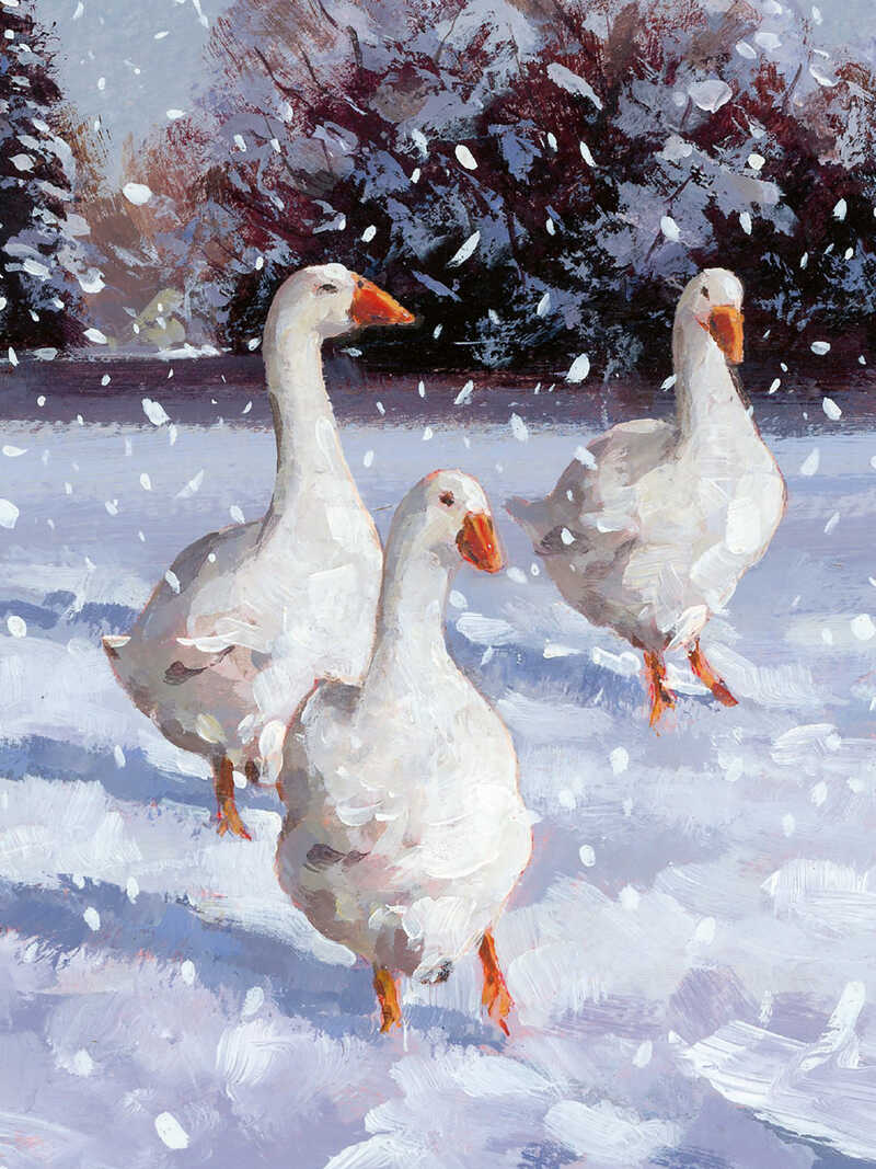 Alternatives Bild 2 zu Weihnachtskarten 'Winter Birds'