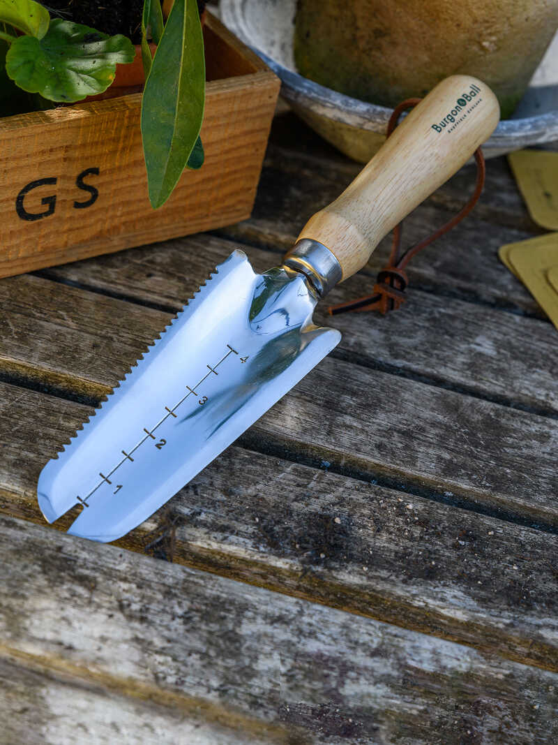 Alternatives Bild 1 zu Pflanz-Unkraut-Schaufel aus rostfreiem Edelstahl mit eingravierter Mess-Skala Hartholz-Griff