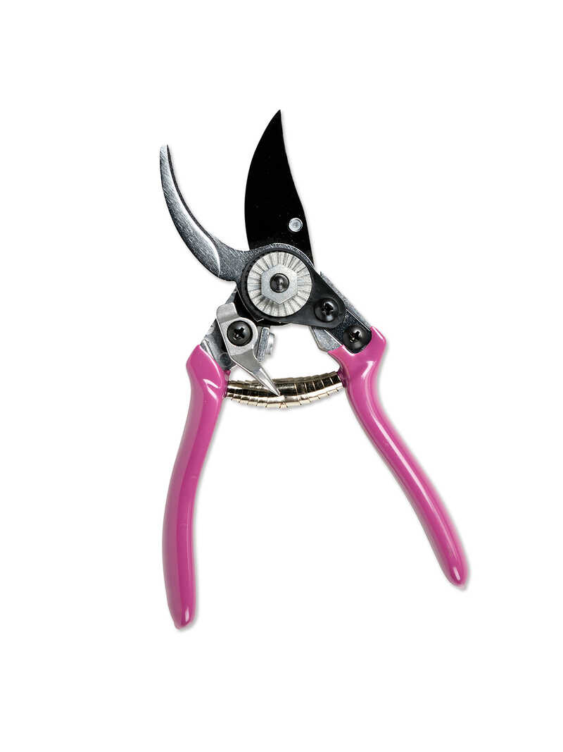 Alternatives Bild 1 zu Gartenschere Sommeraster mit Holster