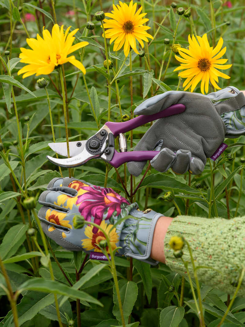 Alternatives Bild 2 zu Gartenschere Sommeraster mit Holster