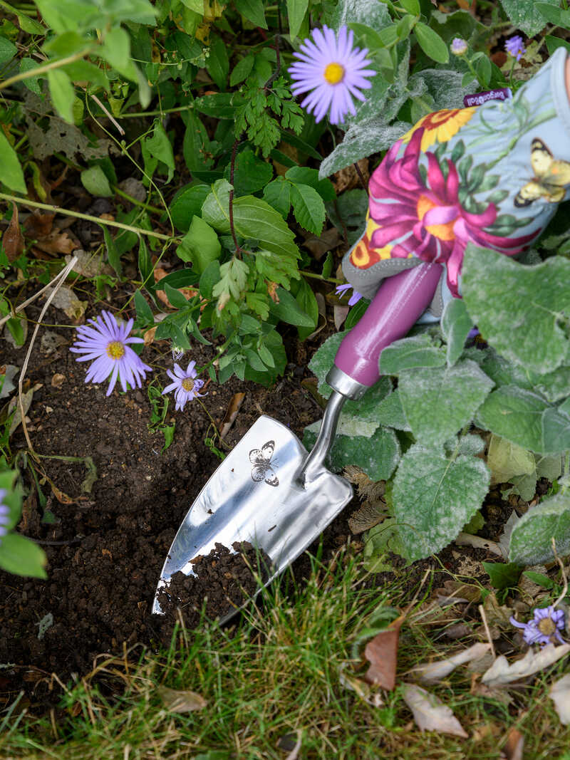 Alternatives Bild 3 zu Garten-Geschenkset Schaufel & Gabel Sommeraster