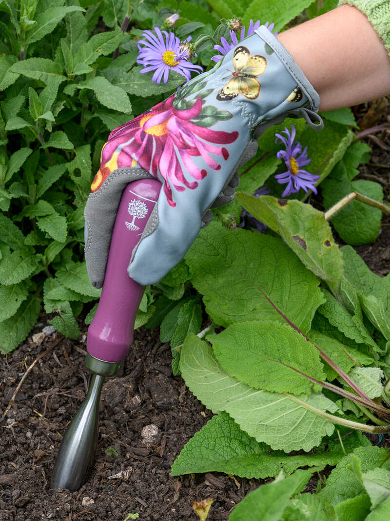 Alternatives Bild 3 zu Pflanzschaufel & Pikierstab Sommeraster