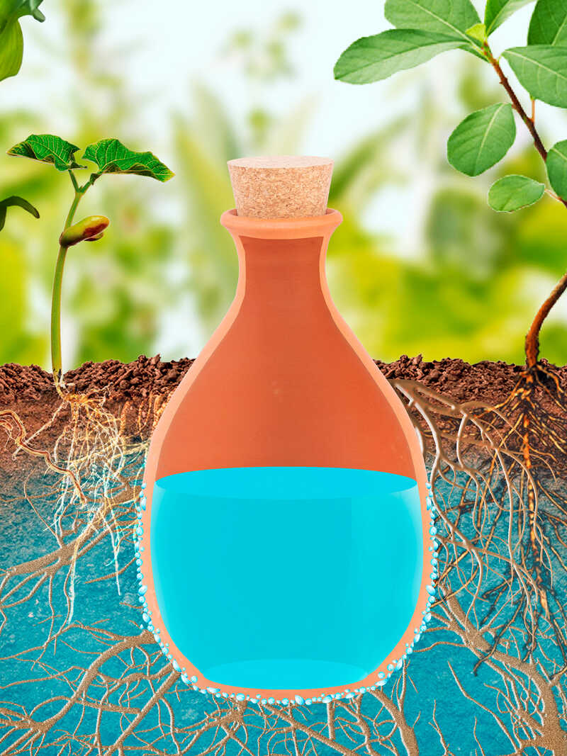 Alternatives Bild 1 zu Olla Keramikgef�� zur Pflanzenbew�sserung