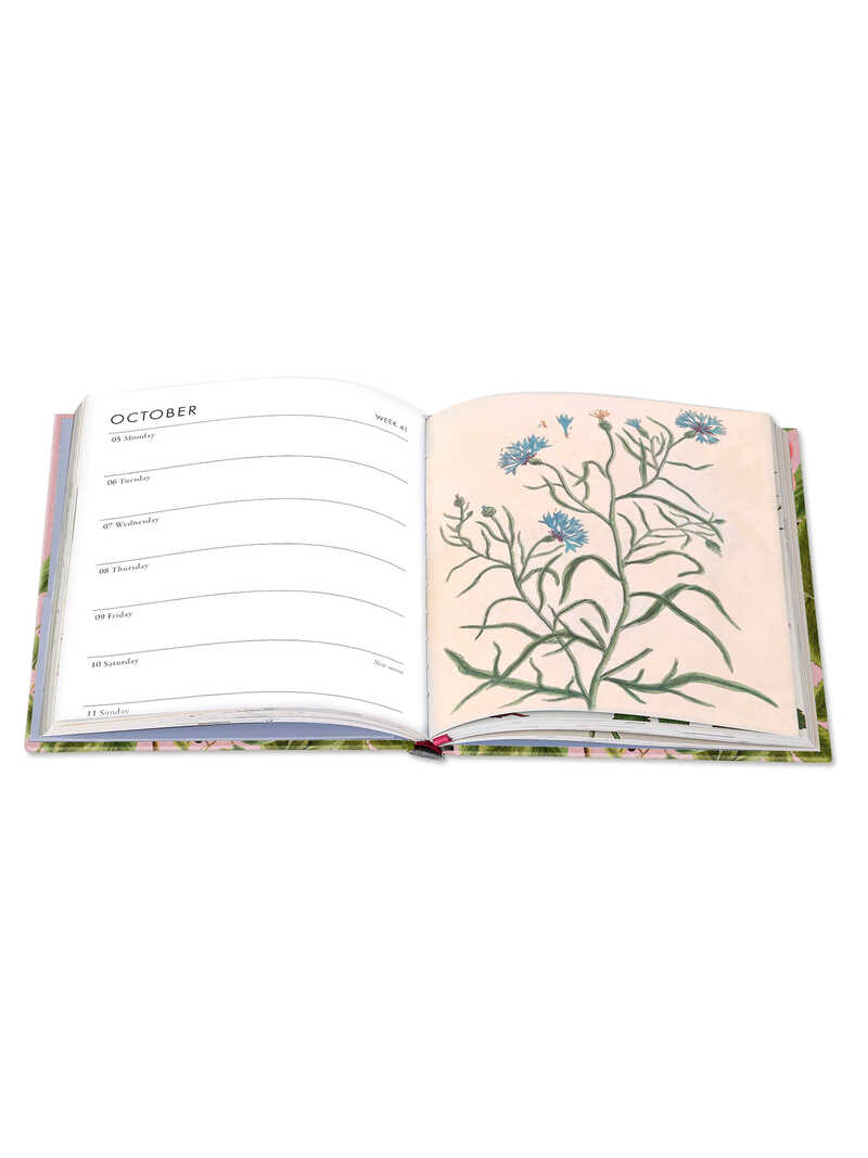 Alternatives Bild 1 zu Wochenkalendarium der Royal Horticultural Society