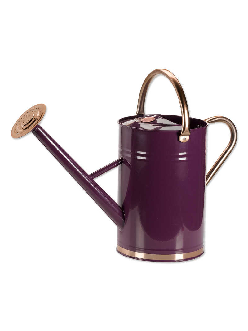 Produktbild zu Metall-Gie�kanne 4,5 Liter