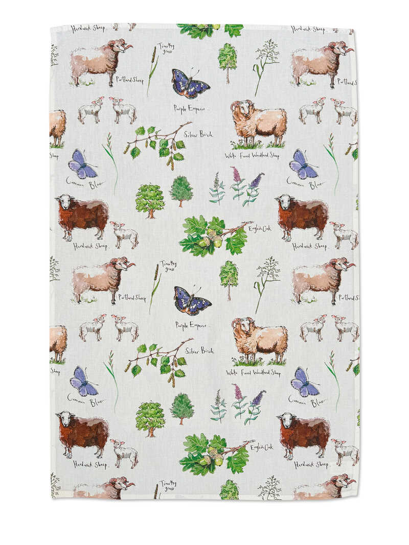 Produktbild zu Baumwoll-Geschirrtuch mit Schafen