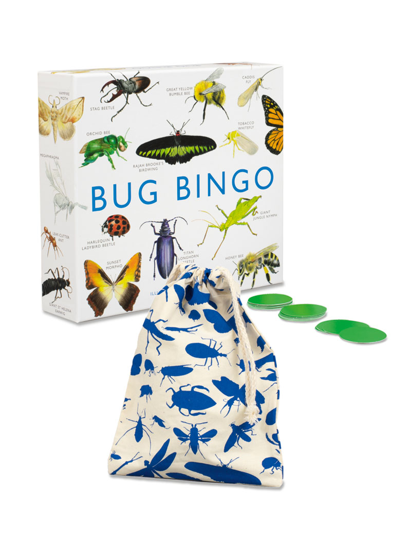 Bingospiel mit Insekten