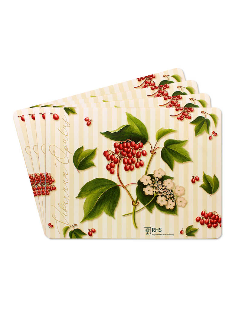 Produktbild zu Tischsets Winter Berries