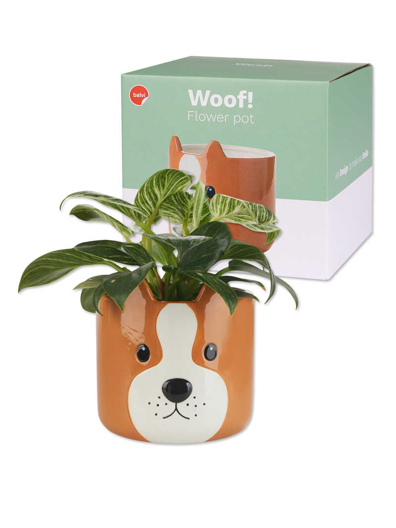 Produktbild zu Keramik-Blumentopf in Hundeform