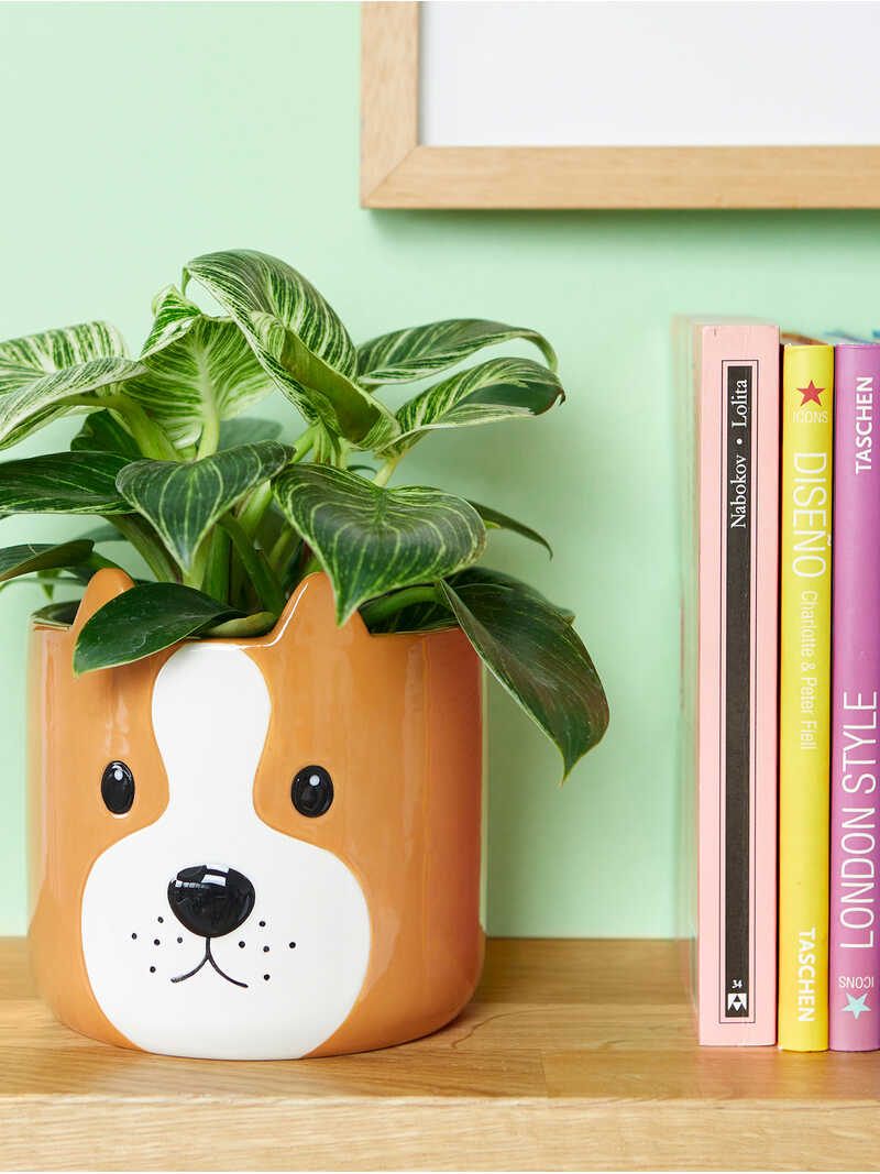 Alternatives Bild 1 zu Keramik-Blumentopf in Hundeform