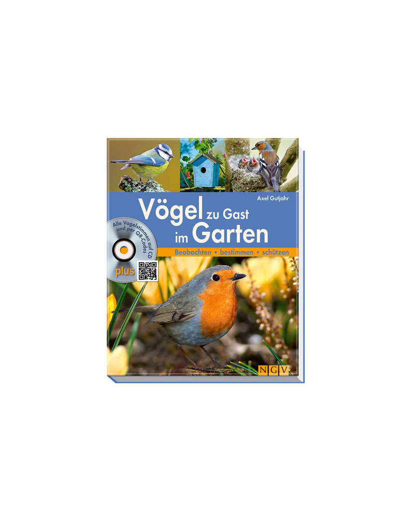 Vogel Zu Gast Im Garten Bucher Garten
