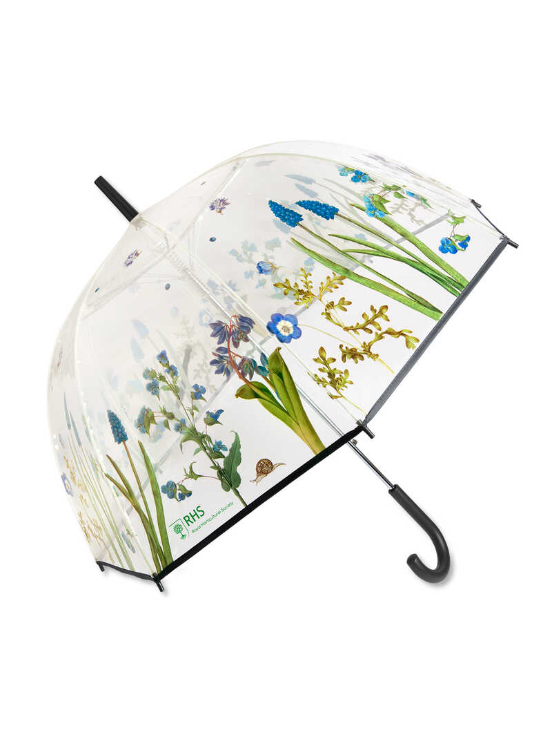 Produktbild zu Birdcage-Regenschirm mit Blumen