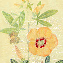 Alernatives Thumbnail 1 zu Leinen-Blumenshirt Hibiscus