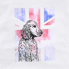 Alernatives Thumbnail 2 zu  Cooles Shirt mit Union-Jack