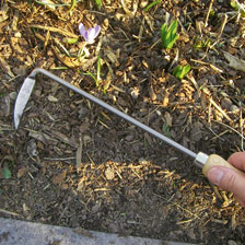 Alernatives Thumbnail 1 zu Unkrautjter mit Eschenholzgriff