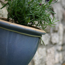 Alernatives Thumbnail 1 zu Gartendraht aus Stahl mit Kunststoffh�lle