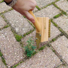 Alernatives Thumbnail 2 zu Fugenreiniger