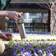 Alernatives Thumbnail 1 zu Blumenzwiebelpflanzer