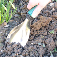 Thumbnail zu Pflanzkelle und Unkrautj�ter