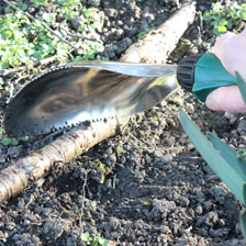 Alernatives Thumbnail 2 zu Pflanzkelle und Unkrautj�ter