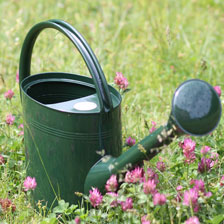 Alernatives Thumbnail 2 zu Grne Giekanne