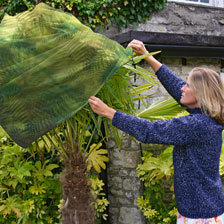 Alernatives Thumbnail 1 zu Groe grne Pflanzenschutzhauben aus Fleece