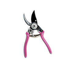 Alernatives Thumbnail 1 zu Gartenschere Sommeraster mit Holster