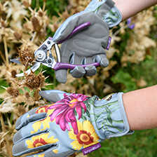 Alernatives Thumbnail 1 zu Gartenhandschuhe Sommeraster