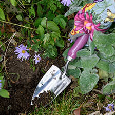 Alernatives Thumbnail 3 zu Garten-Geschenkset Schaufel & Gabel Sommeraster