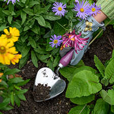 Alernatives Thumbnail 1 zu Pflanzschaufel & Pikierstab Sommeraster