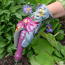 Alernatives Thumbnail 3 zu Pflanzschaufel & Pikierstab Sommeraster