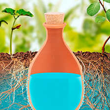 Alernatives Thumbnail 1 zu Olla Keramikgef�� zur Pflanzenbew�sserung