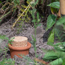 Alernatives Thumbnail 2 zu Olla Keramikgef�� zur Pflanzenbew�sserung