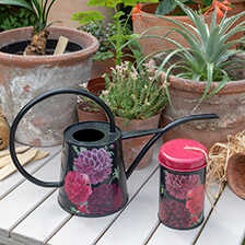 Alernatives Thumbnail 1 zu Zimmer-Giekanne British Blooms