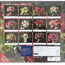 Alernatives Thumbnail 1 zu Kalender Geliebte Rosen 2026