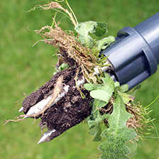 Alernatives Thumbnail 2 zu Wunder-Unkrautentferner Weed Puller