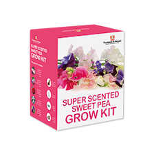 Alernatives Thumbnail 2 zu Growkit f�r original englische Duftwicken