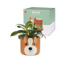 Keramik-Blumentopf in Hundeform