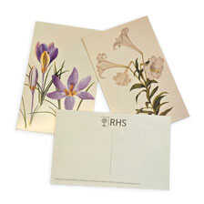 Alernatives Thumbnail 2 zu Geschenkbox mit 100 Postkarten 100 Flowers