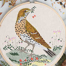 Alernatives Thumbnail 3 zu Stickset Singdrossel