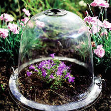 Thumbnail zu Viktorianische Pflanzglocken im 3er-Set