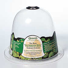 Alernatives Thumbnail 1 zu Viktorianische Pflanzglocken im 3er-Set